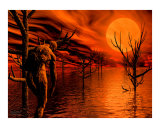 Buy Hopeless - Human Condition I - 02 at AllPosters.com