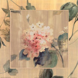 Buy Hydrangea II at AllPosters.com