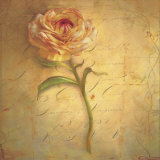 Buy Little Anemone at AllPosters.com