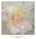 Buy Paeonia at AllPosters.com