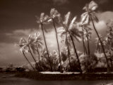 Place of Refuge III