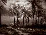 Buy Place of Refuge IV at AllPosters.com