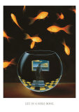 Buy Life in a Wish Bowl at AllPosters.com