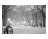 Literary Walk Snowstorm - Central Park, New York Photographic Print
