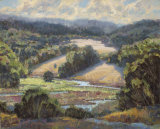 Golden Foothills I