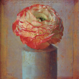 Floral Study I