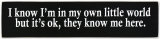 Buy I Know I'm In My Own Little World But It's Okay They Know Me Here at AllPosters.com