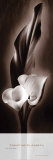 Buy The Unfolding I at AllPosters.com
