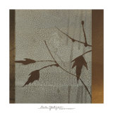 Buy Umber Leaves at AllPosters.com