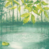 Buy Lumiere du Matin II at AllPosters.com