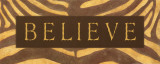 Buy Believe at AllPosters.com