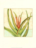Tropicana Botanical VI