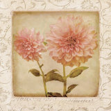 Dynamite Dahlia II