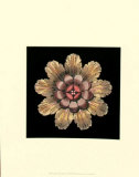 Classic Rosette II