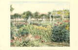 Old Time Flower Gardens II