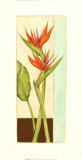 Tropicana Botanical II