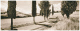 Buy Road Through Tuscany at AllPosters.com