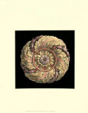 Classic Rosette IV
