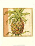 Buy Ginger Pineapple I at AllPosters.com