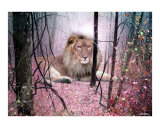 Buy The Way 2 at AllPosters.com