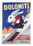 Buy Dolomiti at AllPosters.com
