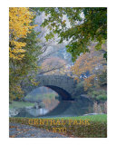 Buy Bridge at AllPosters.com