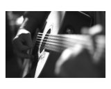 Buy Guitar at AllPosters.com