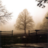 Buy Morning Texture at AllPosters.com
