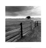 Buy Days Gone By at AllPosters.com