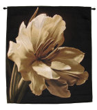 Buy Timeless Grace I at AllPosters.com