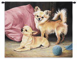 Buy Chihuahua at AllPosters.com