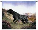 German Shorthair