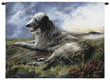 Scottish Deerhound