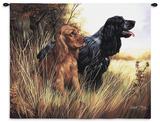 Cocker Spaniel