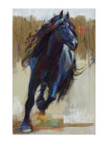 Buy Warrior at AllPosters.com