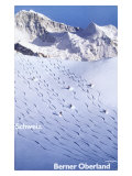 Berner Oberland Ski