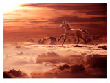 Buy On Cloud Nine at AllPosters.com