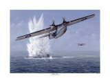 Buy Pby Catalina at AllPosters.com