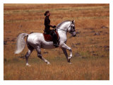 Buy In the Country at AllPosters.com