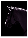 Buy Deep Thought at AllPosters.com