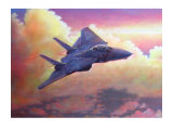 Buy F-14A Tomcat at AllPosters.com