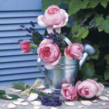 Buy Au Jardin at AllPosters.com