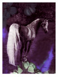 Buy Grey Stallion Art at AllPosters.com