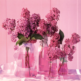 Les Lilas