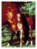 Buy Tail End at AllPosters.com