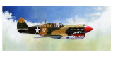 Buy P-40E Warhawk at AllPosters.com