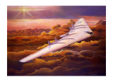 Buy Northrup B49 Flying Wing at AllPosters.com
