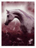 Buy Silver Stallion at AllPosters.com