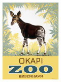 Okapi Copenhagen Zoo
