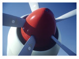 Buy Seafire Prop at AllPosters.com